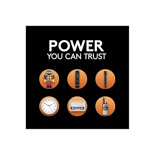 Duracell PGD PC1300CS Battery, Alkaline, Size D